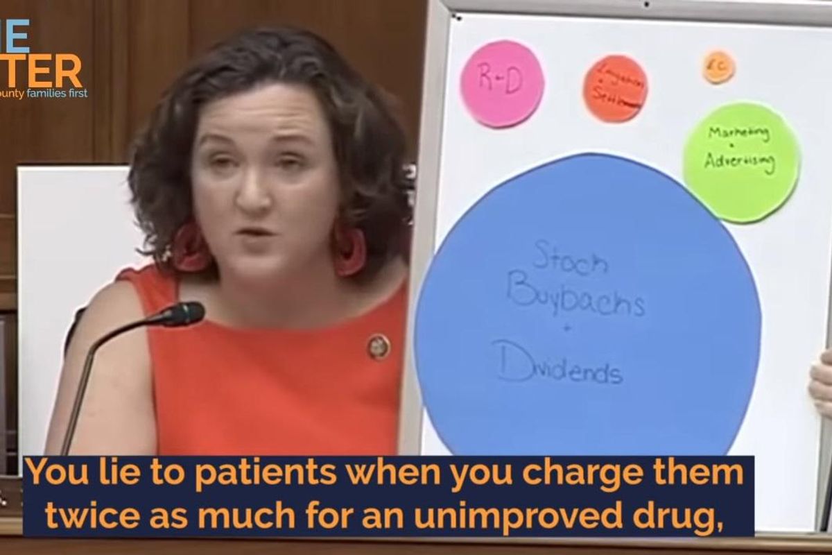 Katie Porter Literally Eviscerates Pharma Exec With Her Whiteboard, Now It's A Redboard