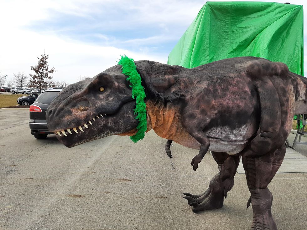 Regina the T-Rex