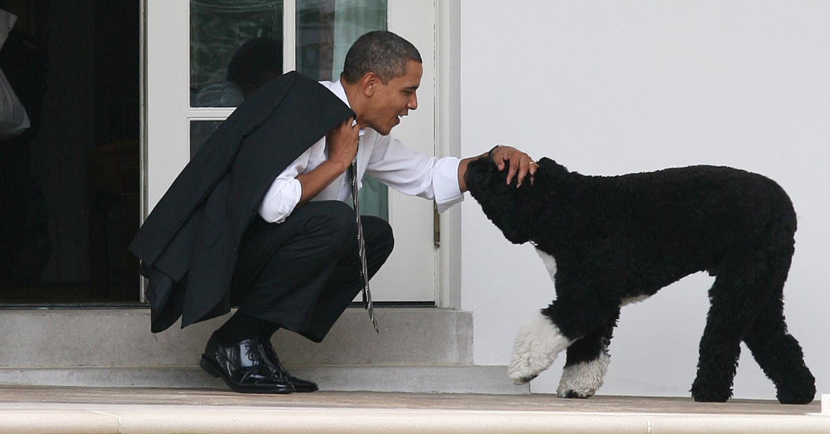 Obama Was Surprised By The Kind Response He Got From His Haters After The Death Of His Dog, Bo