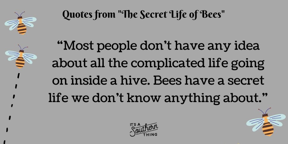 15 'The Secret Life of Bees' quotes we love - It's a Southern Thing