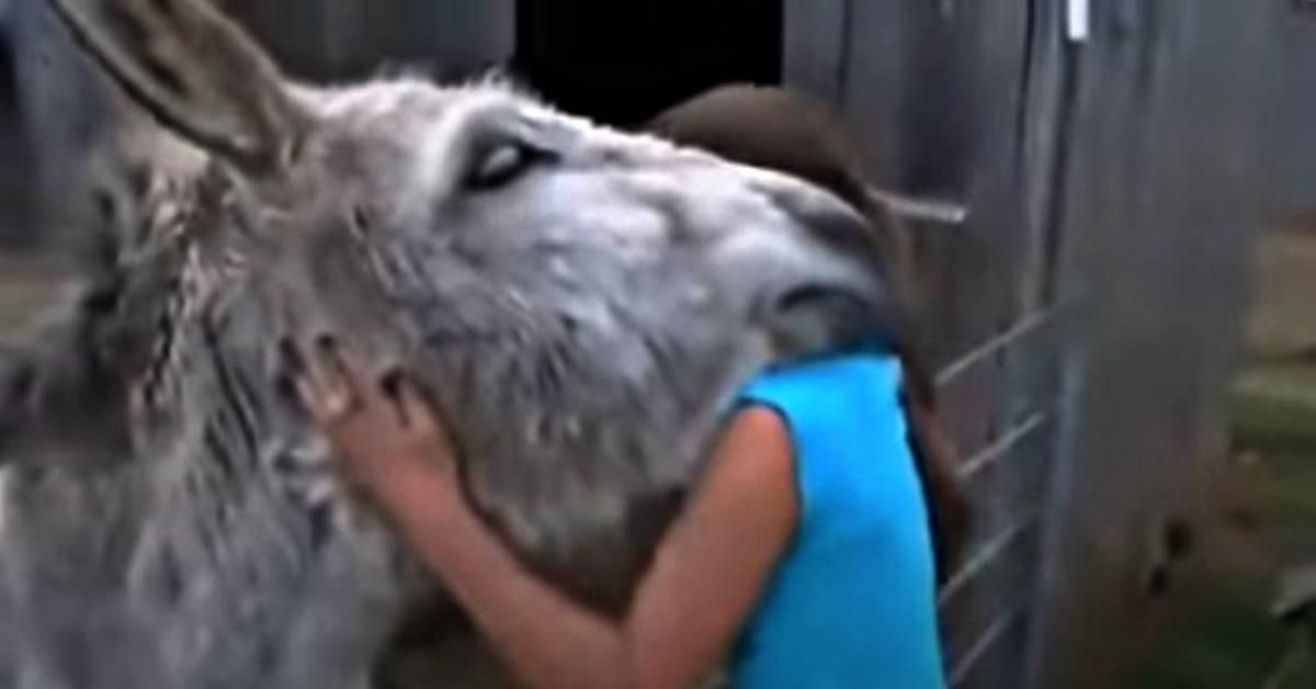 Touching video shows a donkey overwhelmed with emotion after seeing the girl who raised him