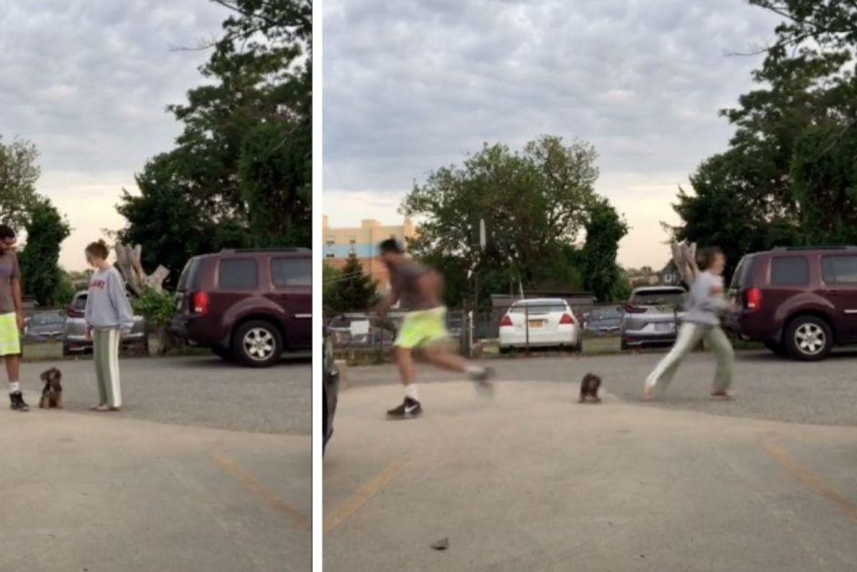 Couple shares hilarious viral video challenge to find out which person your dog loves best