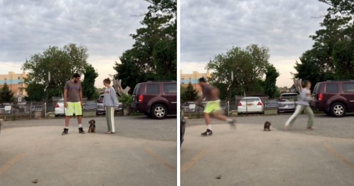 Couple shares hilarious viral video challenge to find out which person your dog loves best