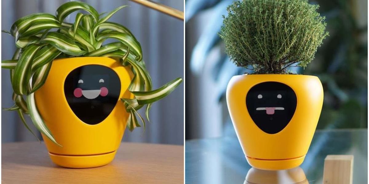 Smart plant pots that smile, squint and cry 