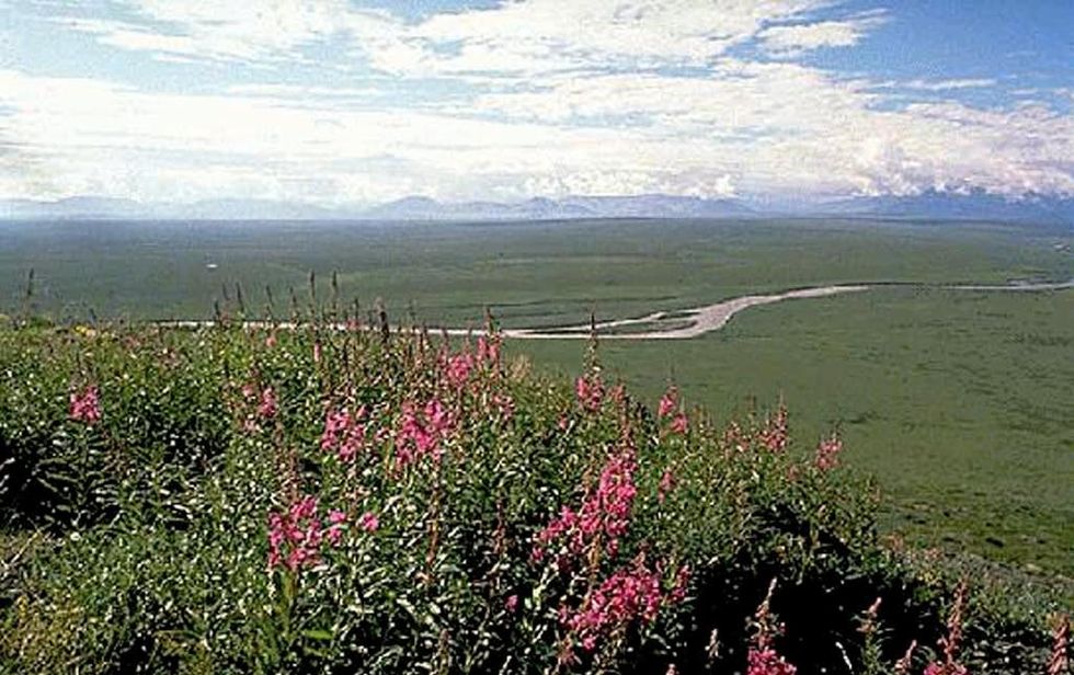 Interior Department Halts Oil Drilling In Arctic National Wildlife Refuge