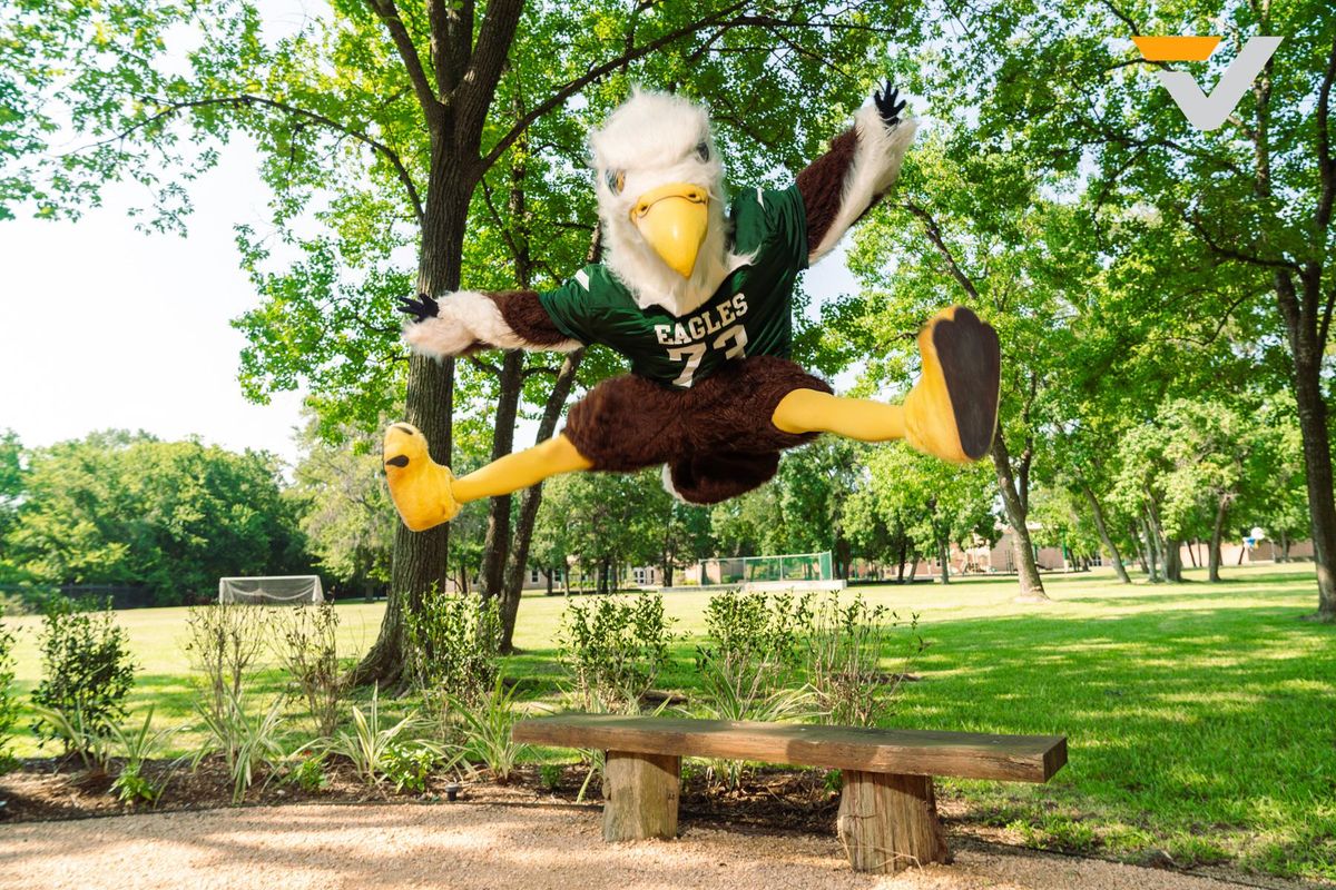 Fort Bend Christian Academy Magazine: Swoop There It Is