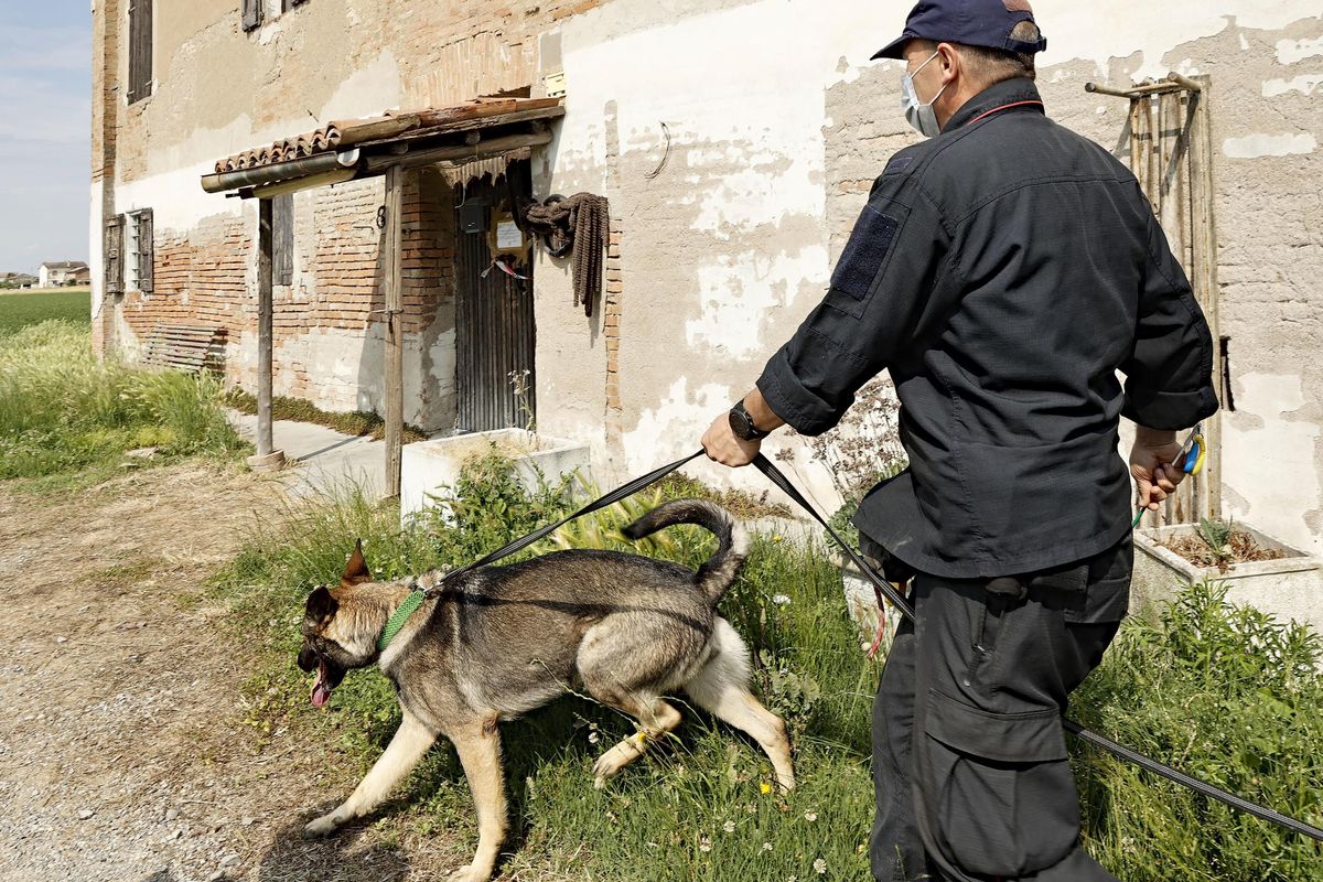 Un video e il fratello svelano l’orrore: «Saman consegnata allo zio e uccisa»