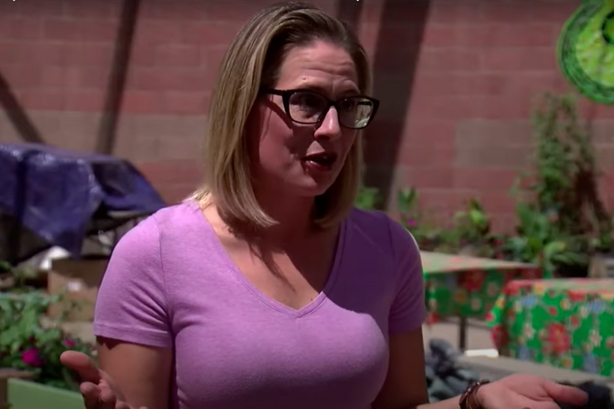 Why Kyrsten Sinema Probably Thinks You’re A Chump