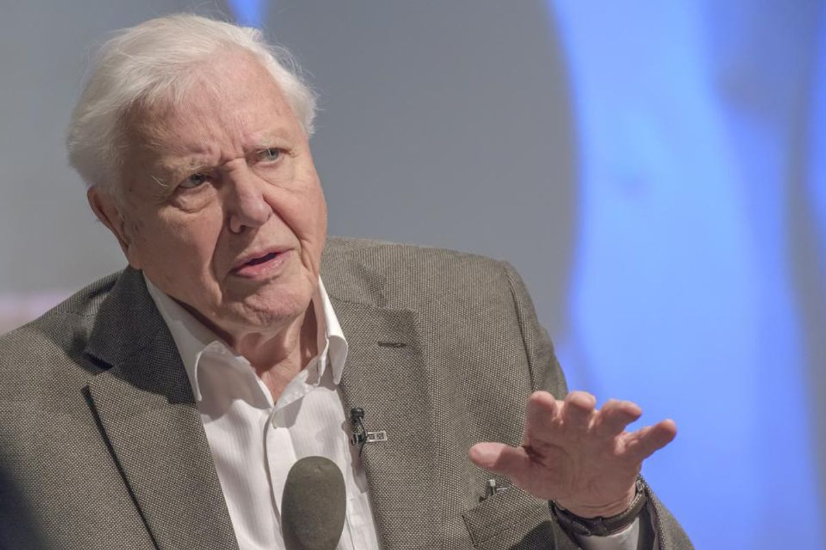 Sir David Attenborough