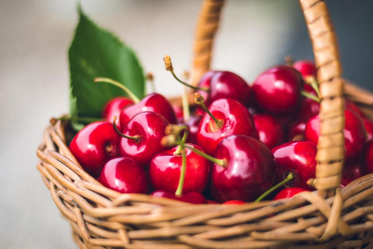 Benvenute ciliegie. Di questi frutti non si butta niente