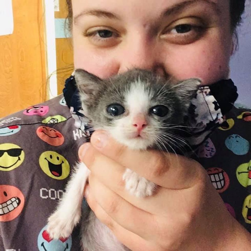 Kitten with ‘Funnel Chest’ is Half the Size But Has Brave Endearing