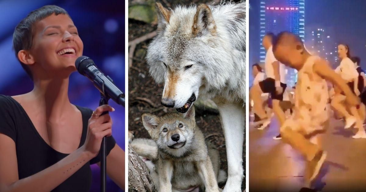 10 things that brought us joy and delight this week