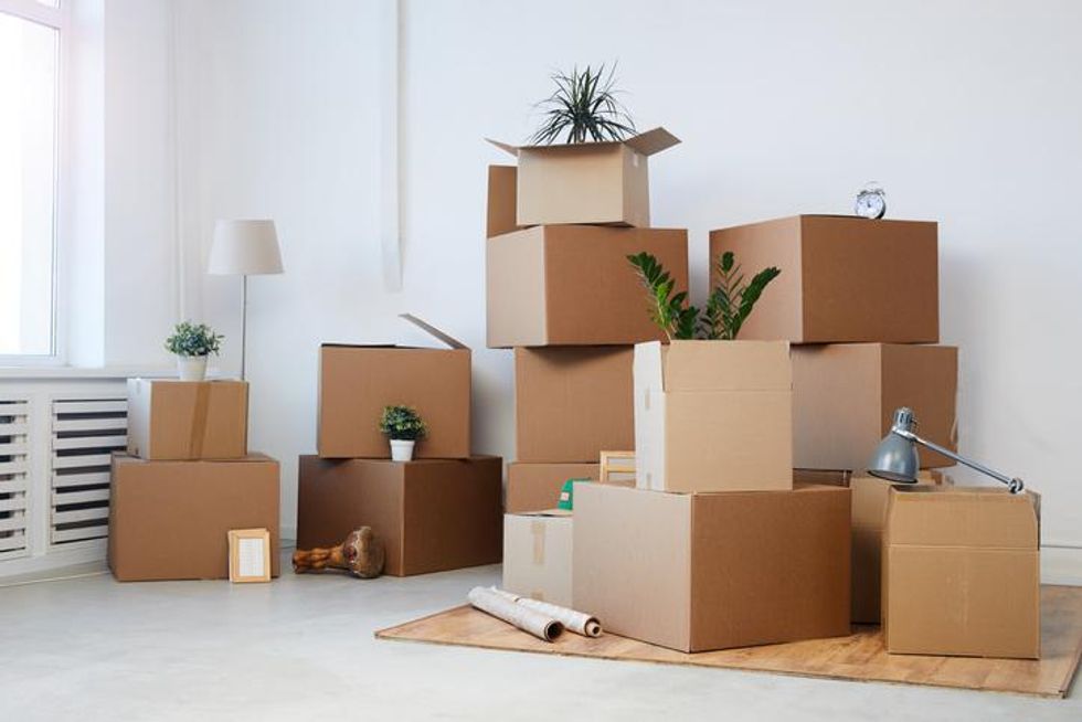 Moving boxes made of cardboard with plants in the corner of a room