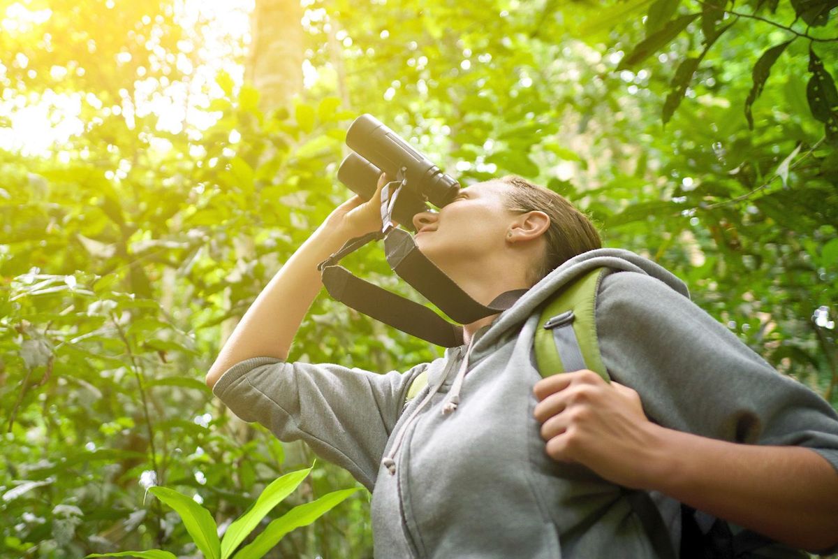 In Italia abbiamo 29 oasi in cui fare birdwatching