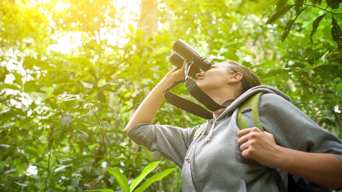 In Italia abbiamo 29 oasi in cui fare birdwatching