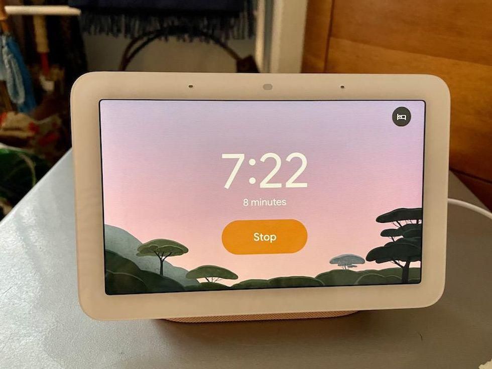 Devices like google home clearance hub