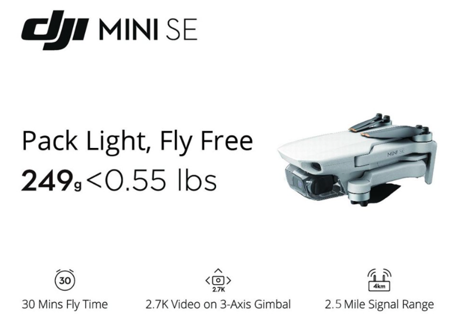 Screenshot of DJI Mini SE listing from Walmart's website