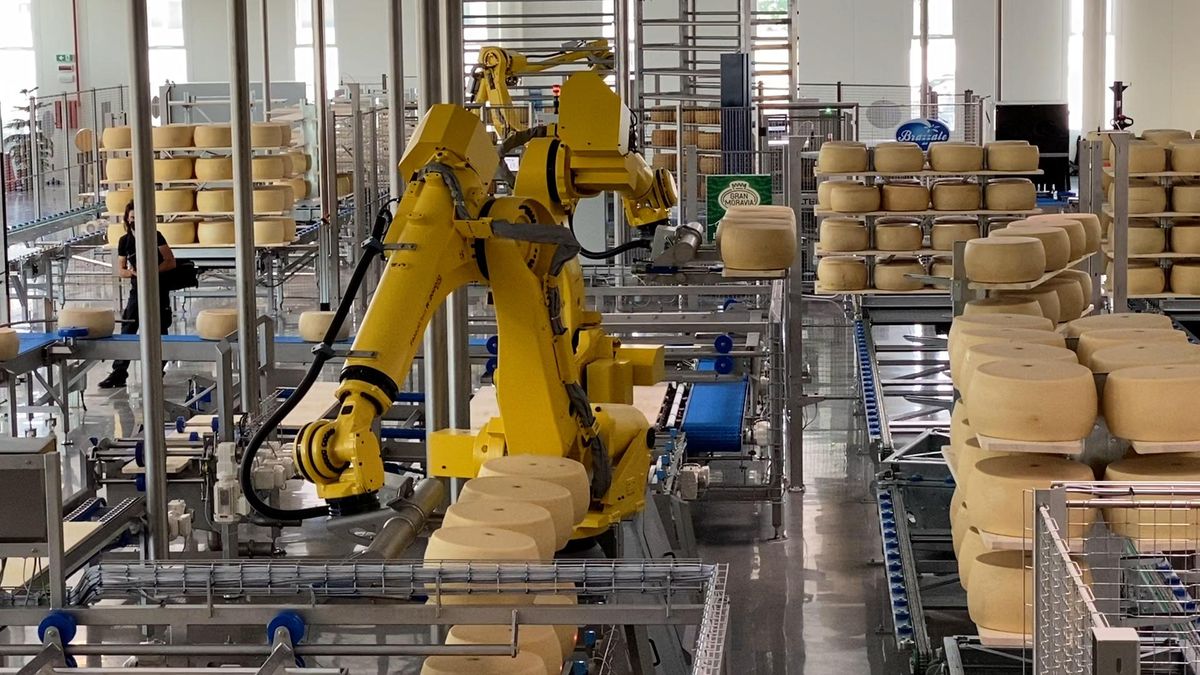 Il nuovo magazzino robotizzato di Brazzale per la stagionatura del formaggio. Ecco come funziona