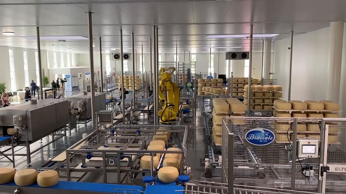 Il nuovo magazzino robotizzato di Brazzale per la stagionatura del formaggio. Ecco come funziona