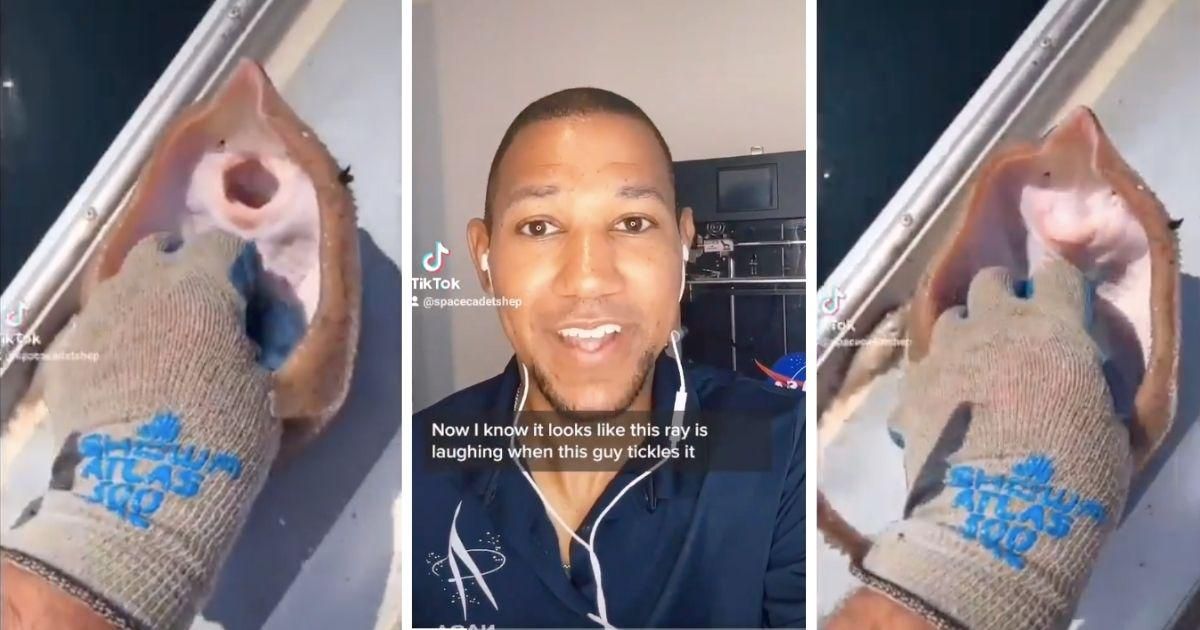 Robotics engineer explains what's really happening in viral video of 'tickling' ray fish