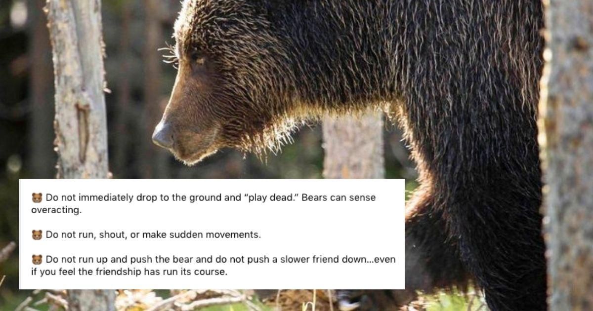 National Park Service shares helpful—and hilarious—advice for how to handle a bear encounter