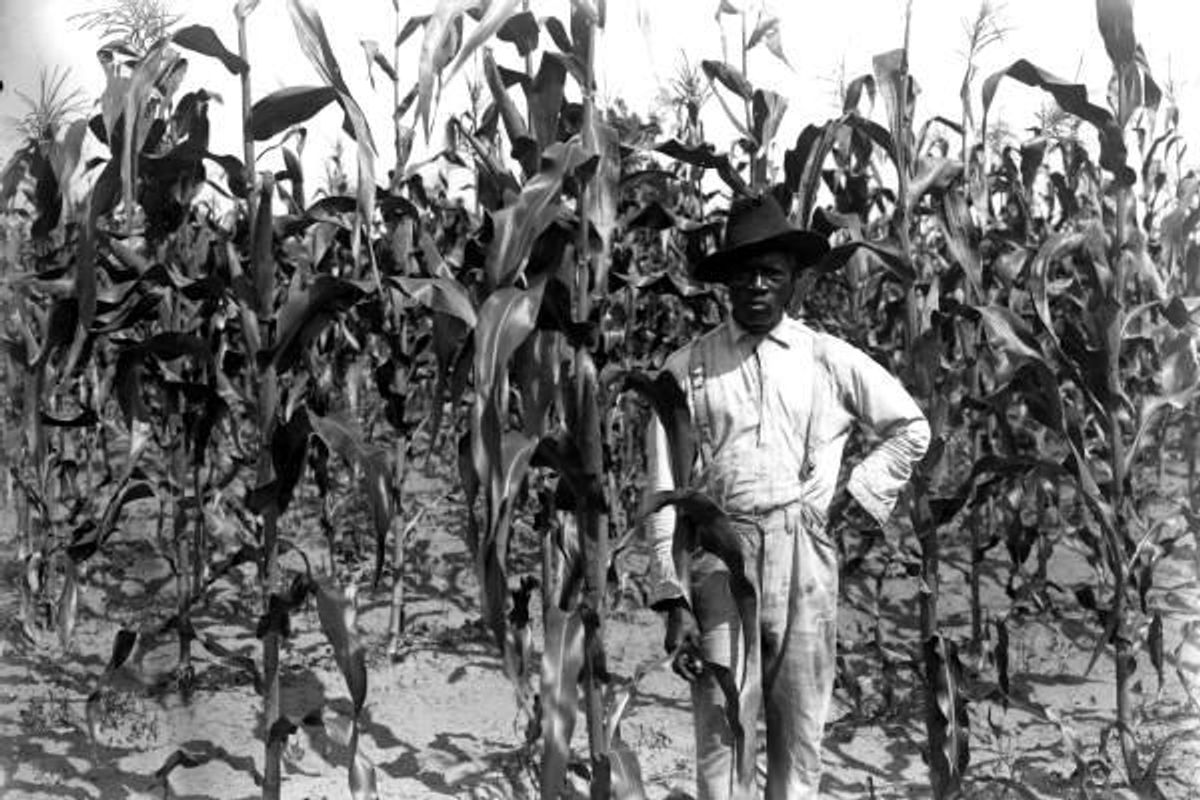 Bad Judge Wants Black Farmers To Guess Number Of Jellybeans In The Jar If They Want Loan Forgiveness