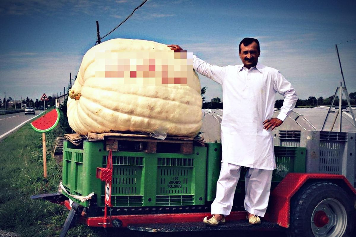 Il padre orco al fidanzato di Saman. «Lasciala o ti stermino la famiglia»