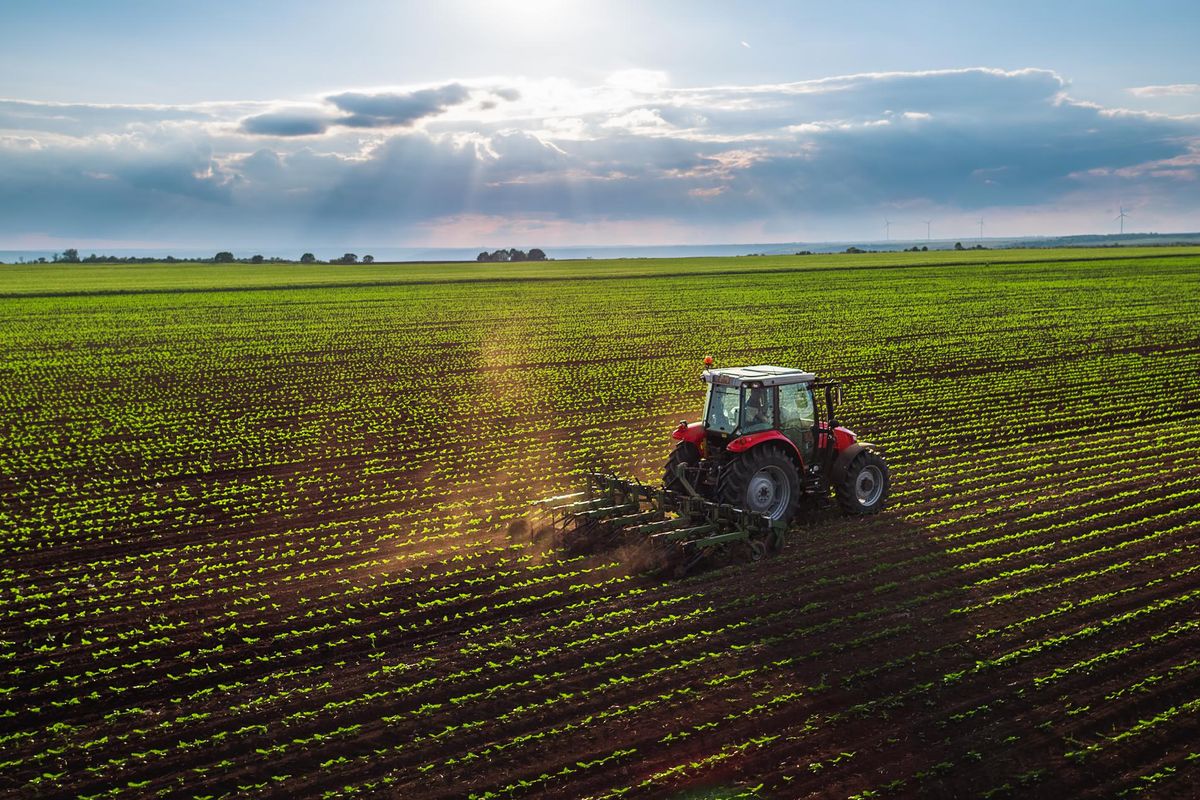 La nuova politica agricola della Ue dà all’Italia meno soldi e più rogne