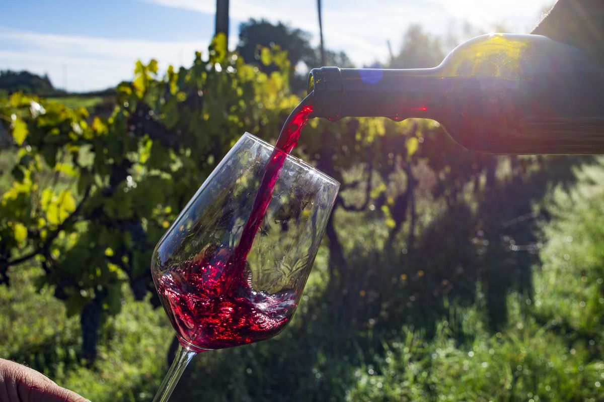 Il vino è diventato un bene rifugio