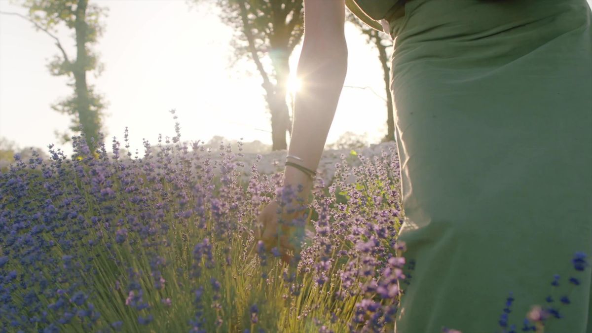 Italia al profumo di lavanda. Dove godersi i paesaggi più belli