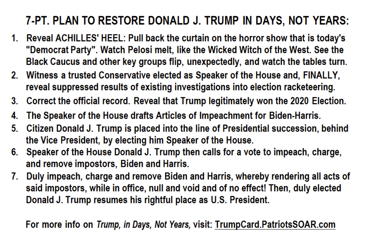 We Must Discuss This Bonkers 7 Point Plan To Re-Install Trump Going Around CPAC