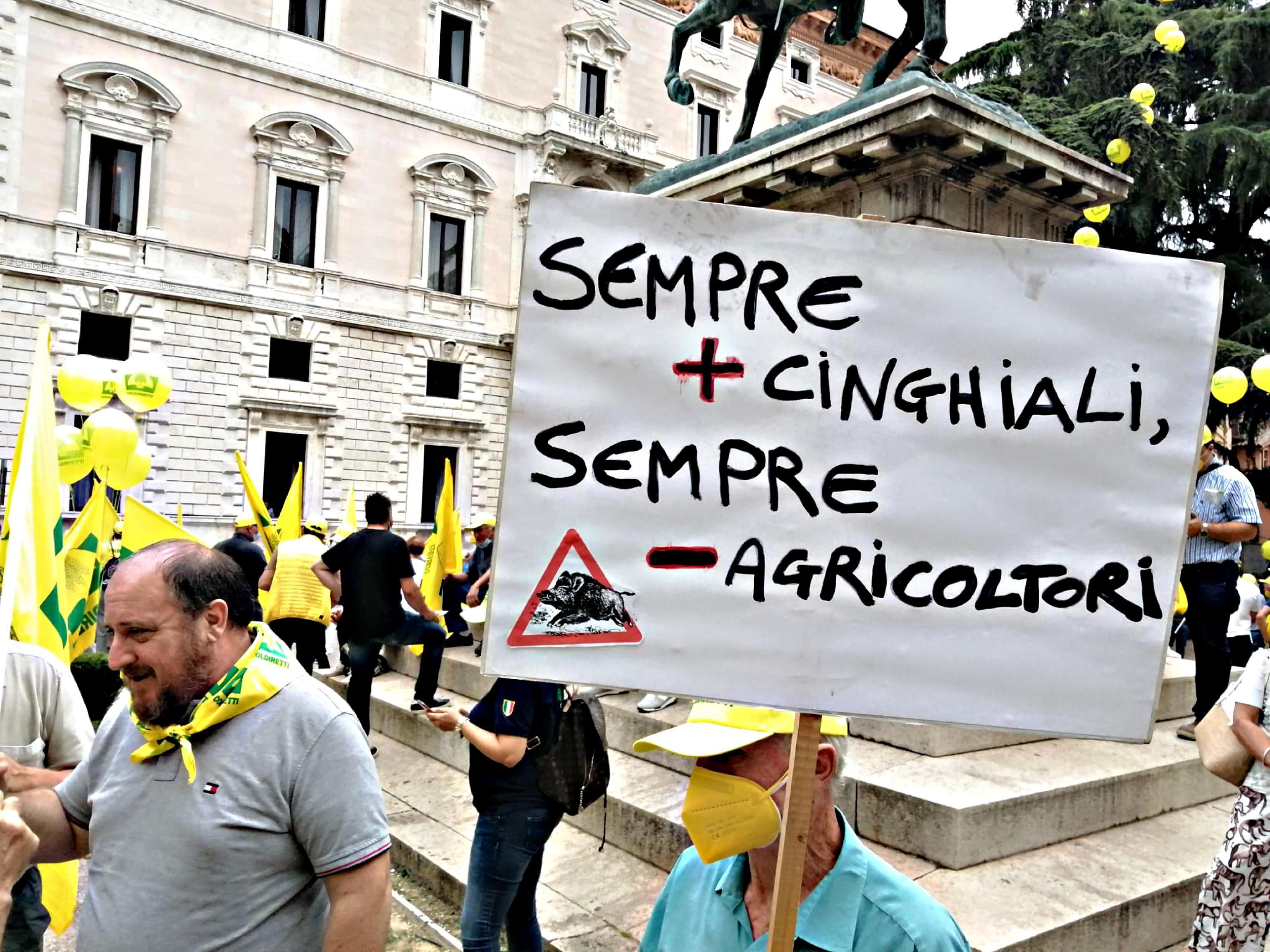 cinghiali caccia protesta coldiretti referendum