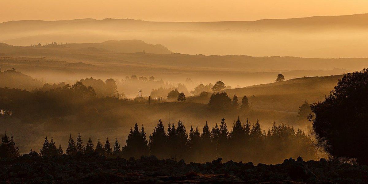 People Who Live In Rural Areas Describe The Creepiest Thing They've Ever Experienced