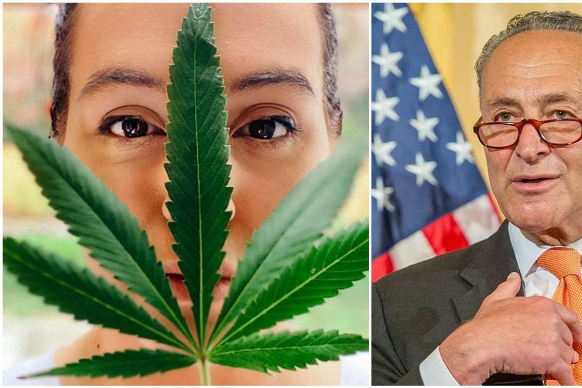 Senate Majority Leader Chuck Schumer's bold new proposal would decriminalize marijuana