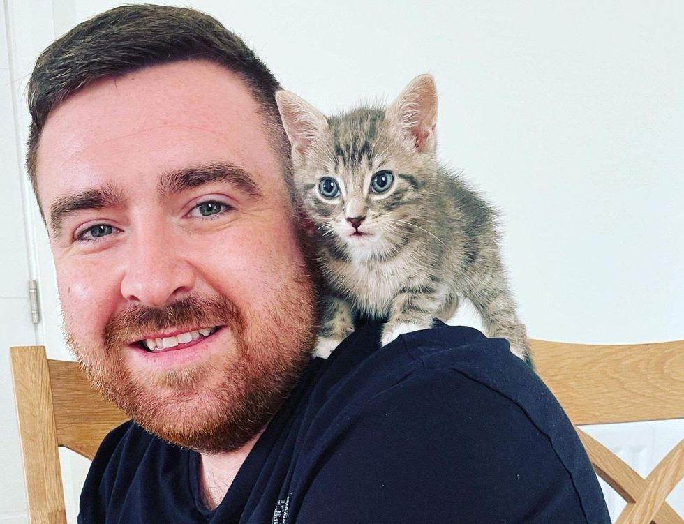 shoulder kitten, real men love cats