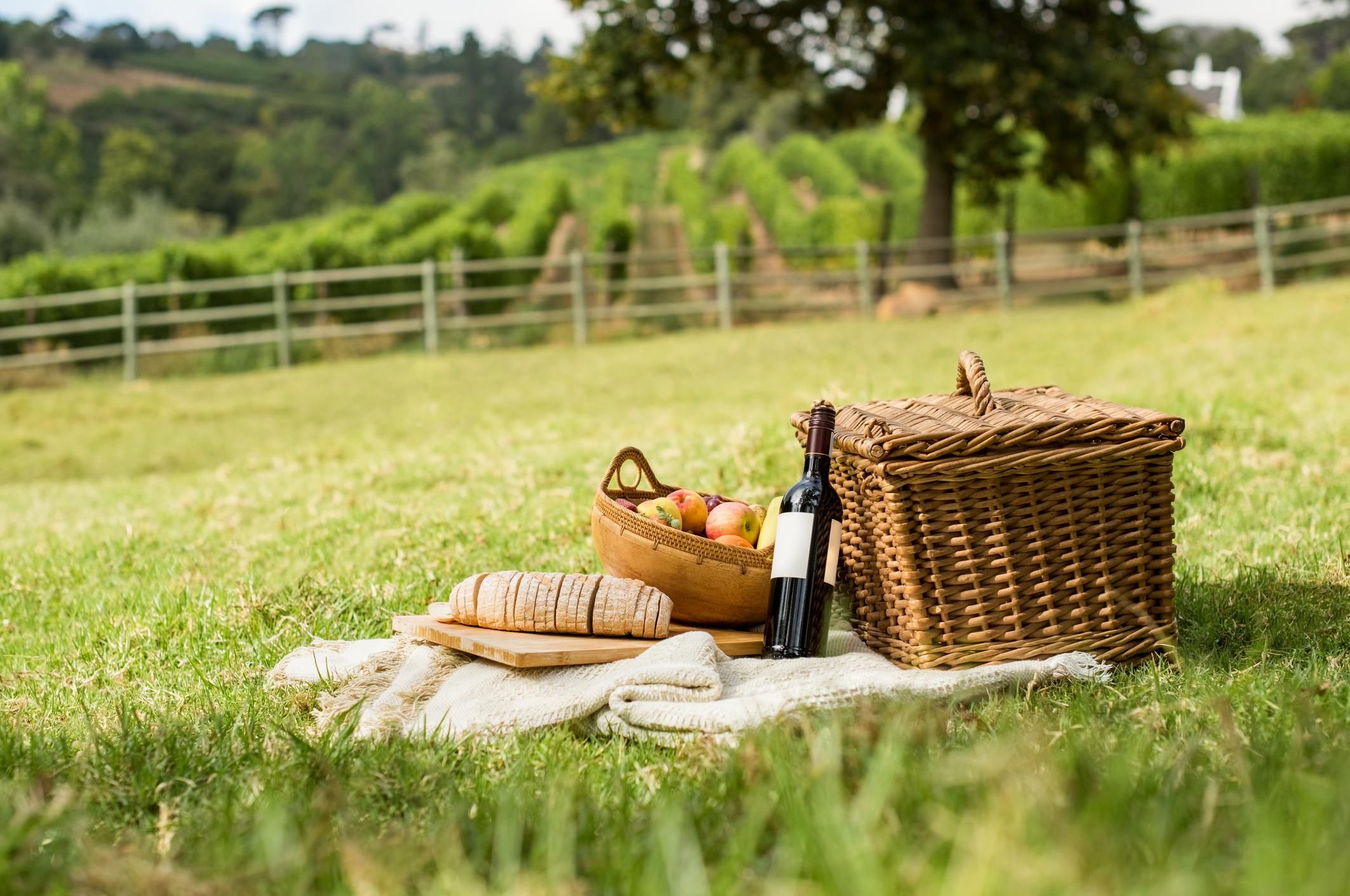 Tutti pazzi per il picnic. Lo sceglie un italiano su due