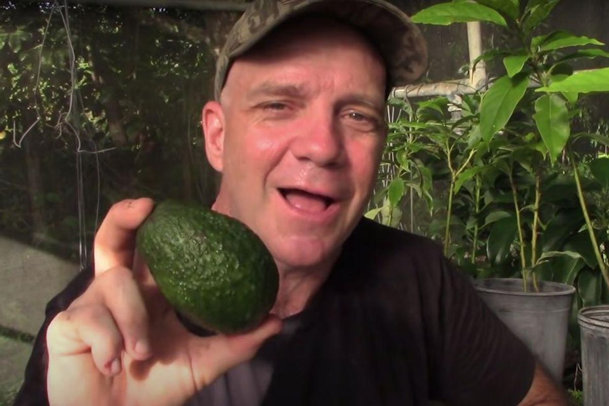 a man holding an avocado