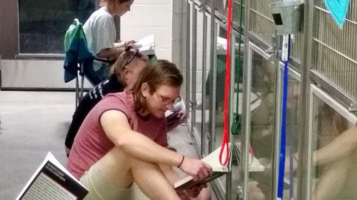 Volunteers read books to shelter pets to calm them during fireworks and our hearts are full