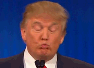 That Time Trump Was Pretty Sure He Could Use COVID As Excuse To Cancel The Election. Allegedly!