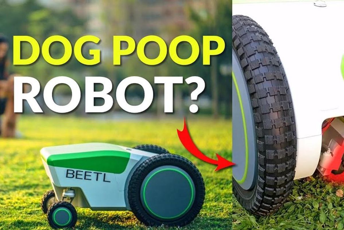 Somebody created a Roomba for dog poop and the world will never be the same