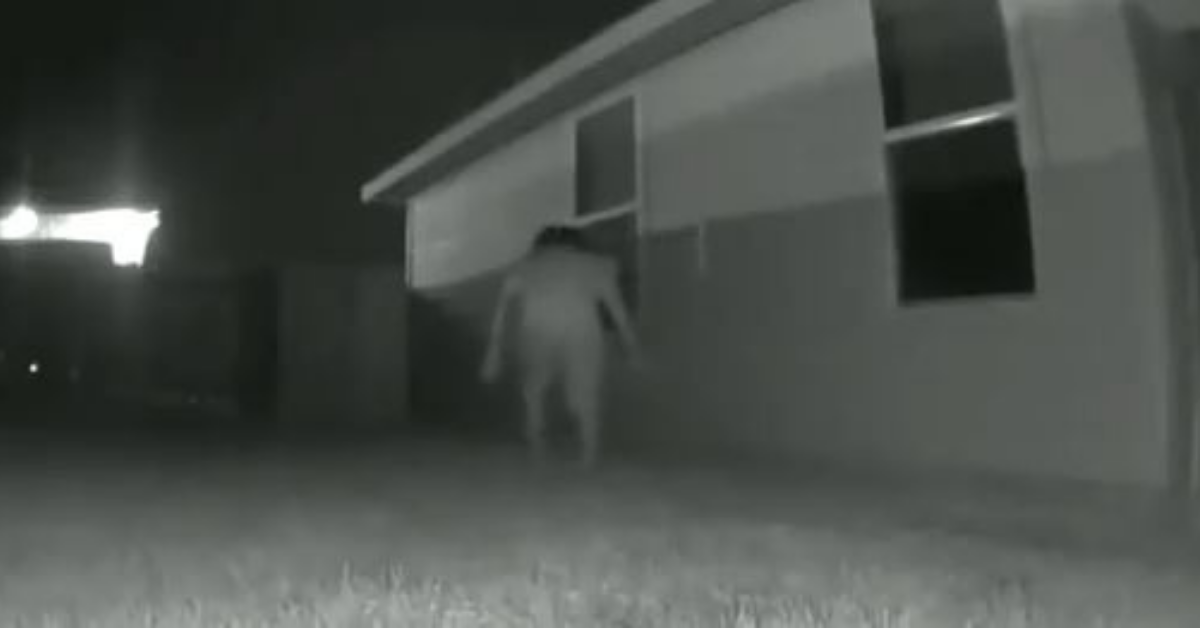 Texas Mom Felt Like She Was Being Watched—And Her Night Vision Cameras Proved Her Right