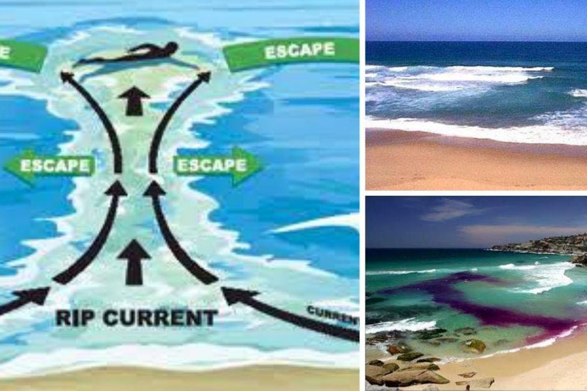 How To Spot A Rip Current Know how to spot and avoid a riptide in an ocean or lake - Upworthy
