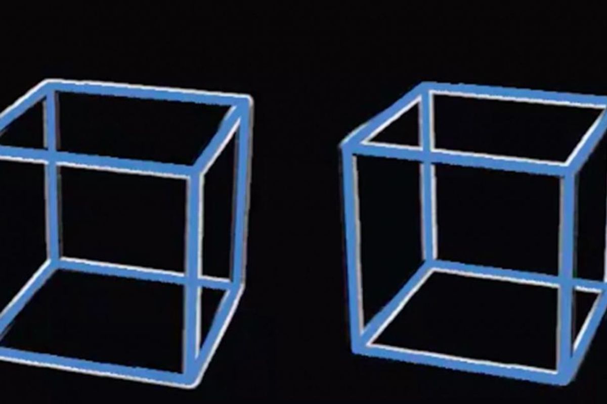 Vacă aripi Foaie Incredible Optical Illusion That Makes Two Blue Boxes Appear to Rotate When the Background Changes - Upworthy Vacă aripi Foaie Incredible Optical Illusion That Makes Two Blue Boxes Appear to Rotate When the Background Changes - Upworthy