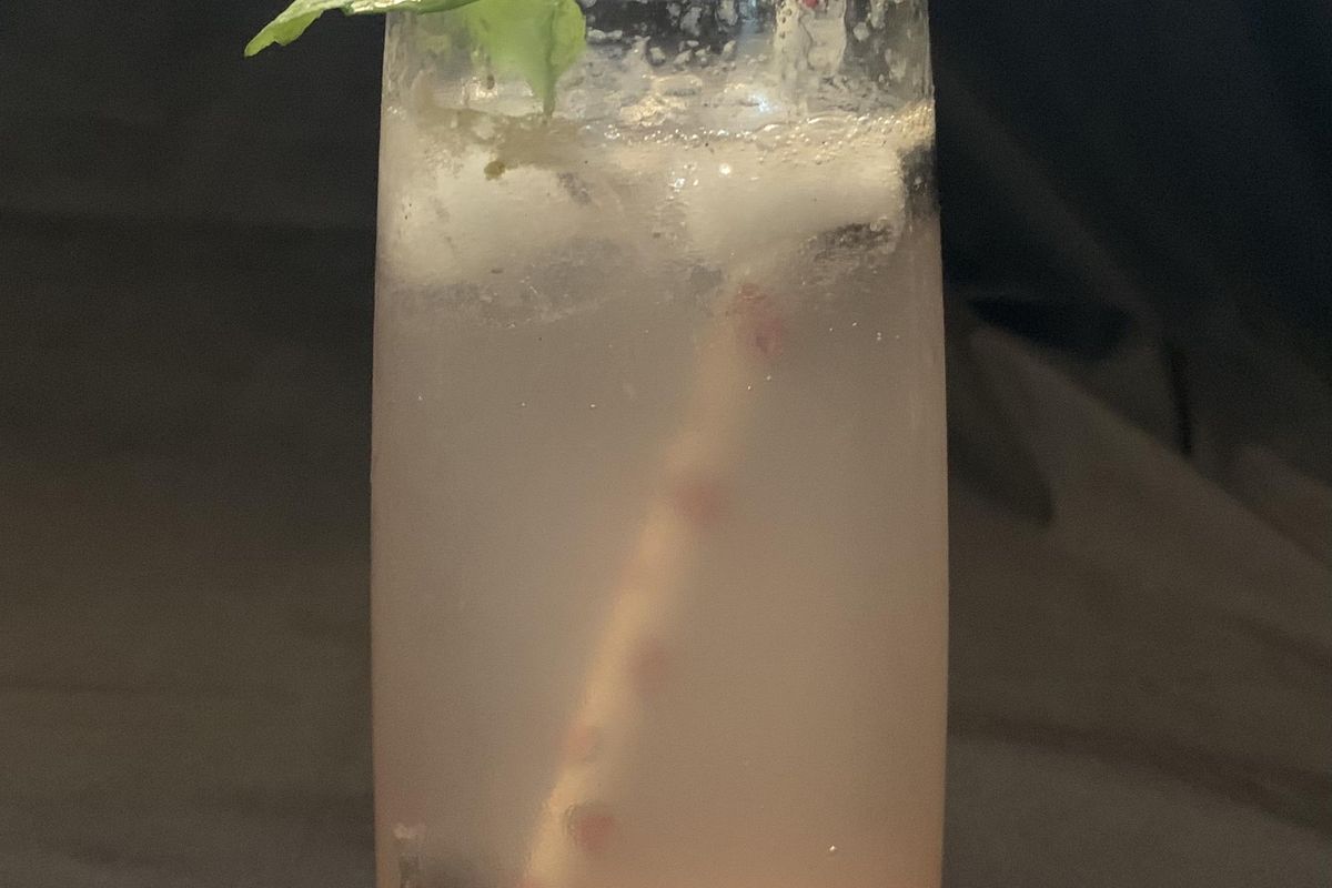 Welcome To Wonkette Happy Hour, With This Week's Special, Blueberry Smash!