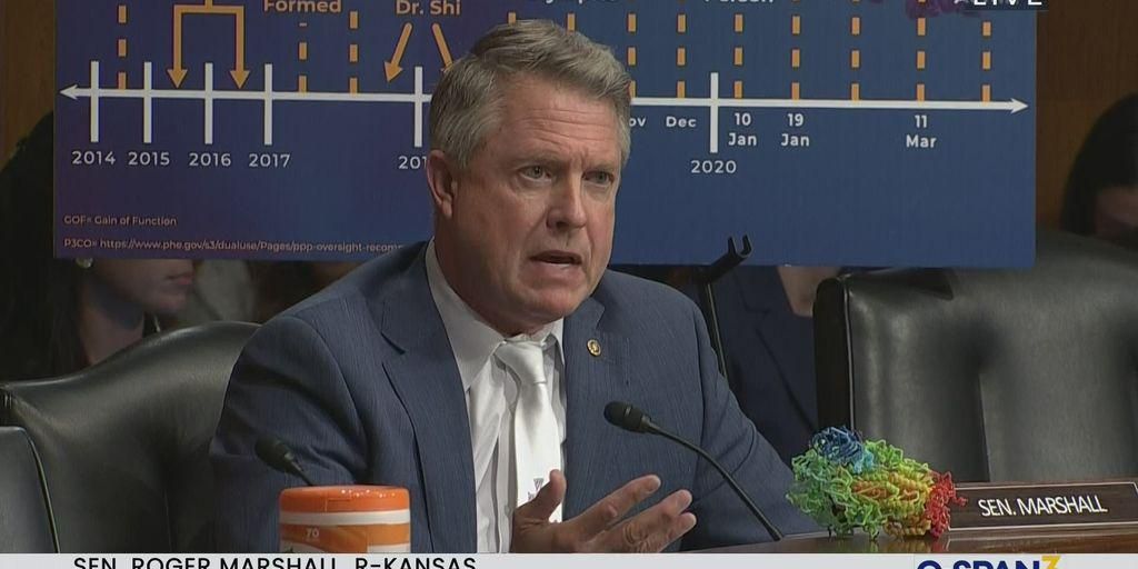 GOP Senator Dismisses COVID Deaths Of 400 Children - Vimarsana News