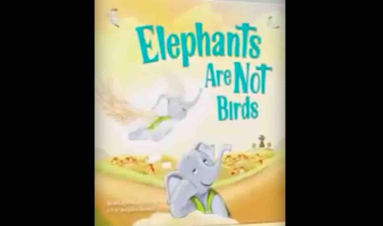 elephants are not birds brave books