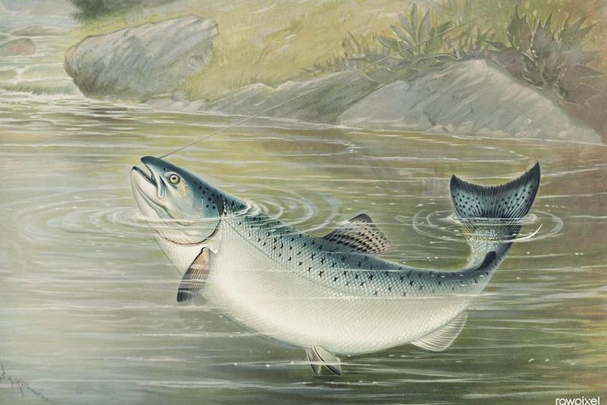 Climate Roundup: So Hot, And That's All For The Fish