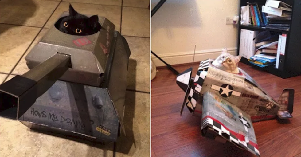This company makes cardboard tanks to help your cat conquer the world