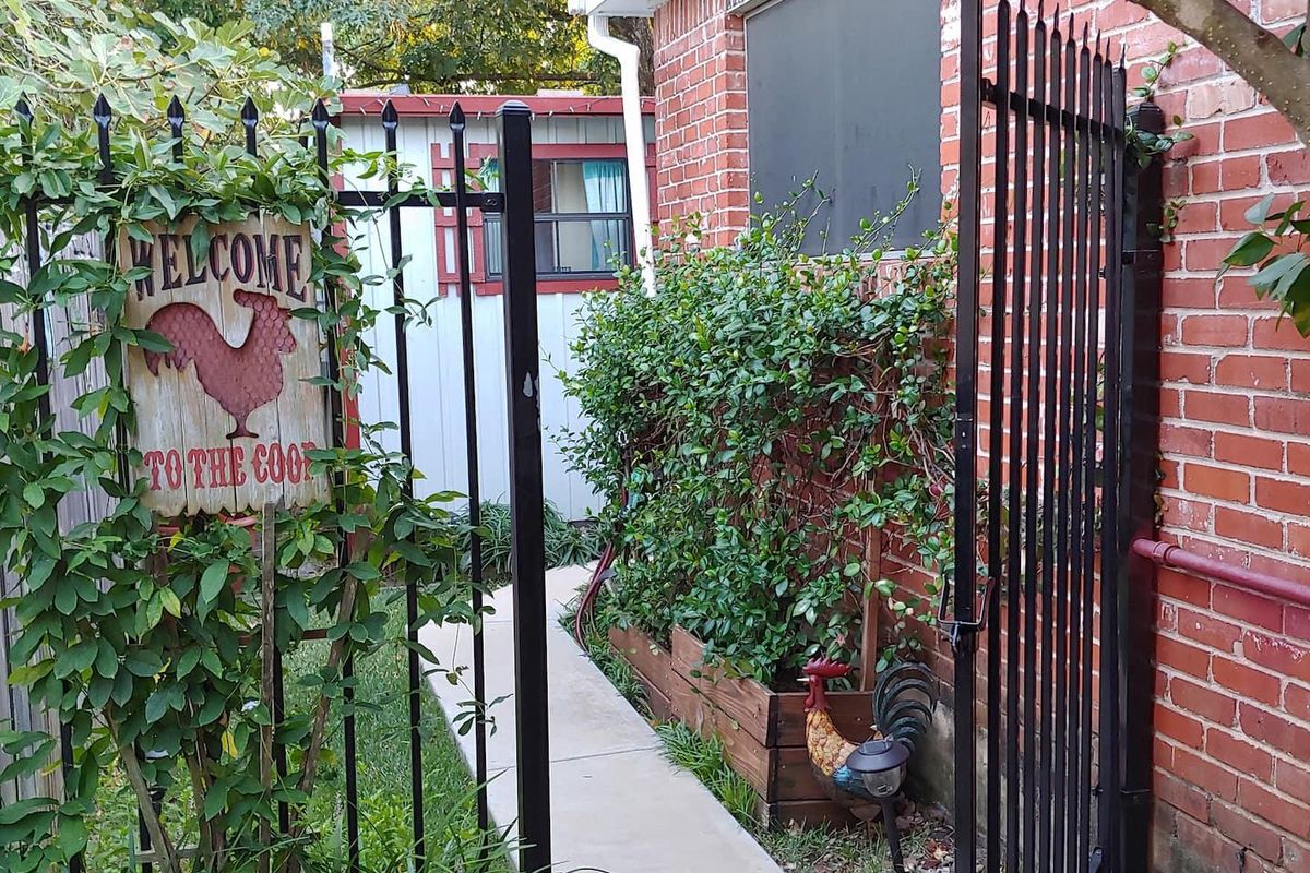 The No. 1 most hospitable Airbnb in Texas is a chicken coop tiny cottage in Austin