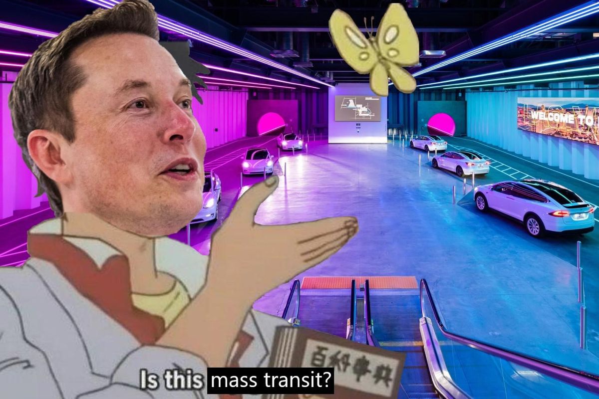 Elon Musk LVCC Loop Butterfly meme